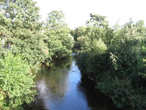 Congleton - River Dane